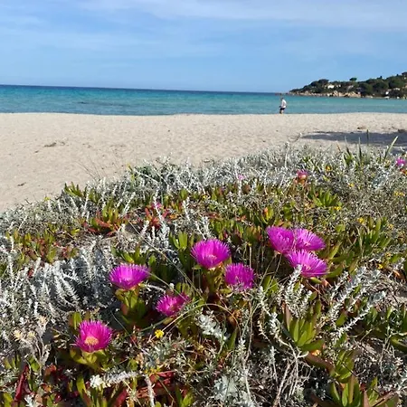 Tavernetta Smeraldina Tatil Evi *