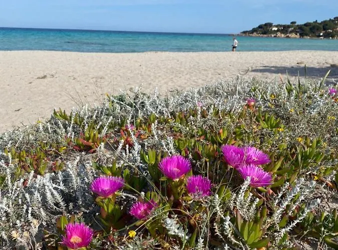 Tavernetta Smeraldina Tatil Evi *